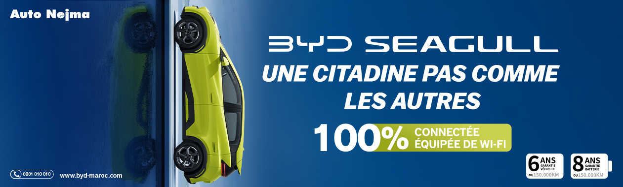 BYD SEAGULL - Une citadine pas comme les autres